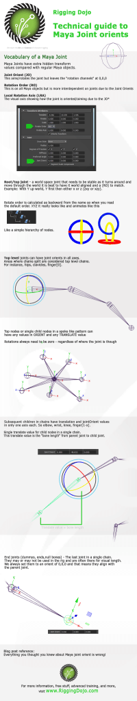 Rigging Dojo visual guide infographic on creating clean skeletons