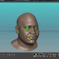Rigging Dojo Face Modeling Topo 2